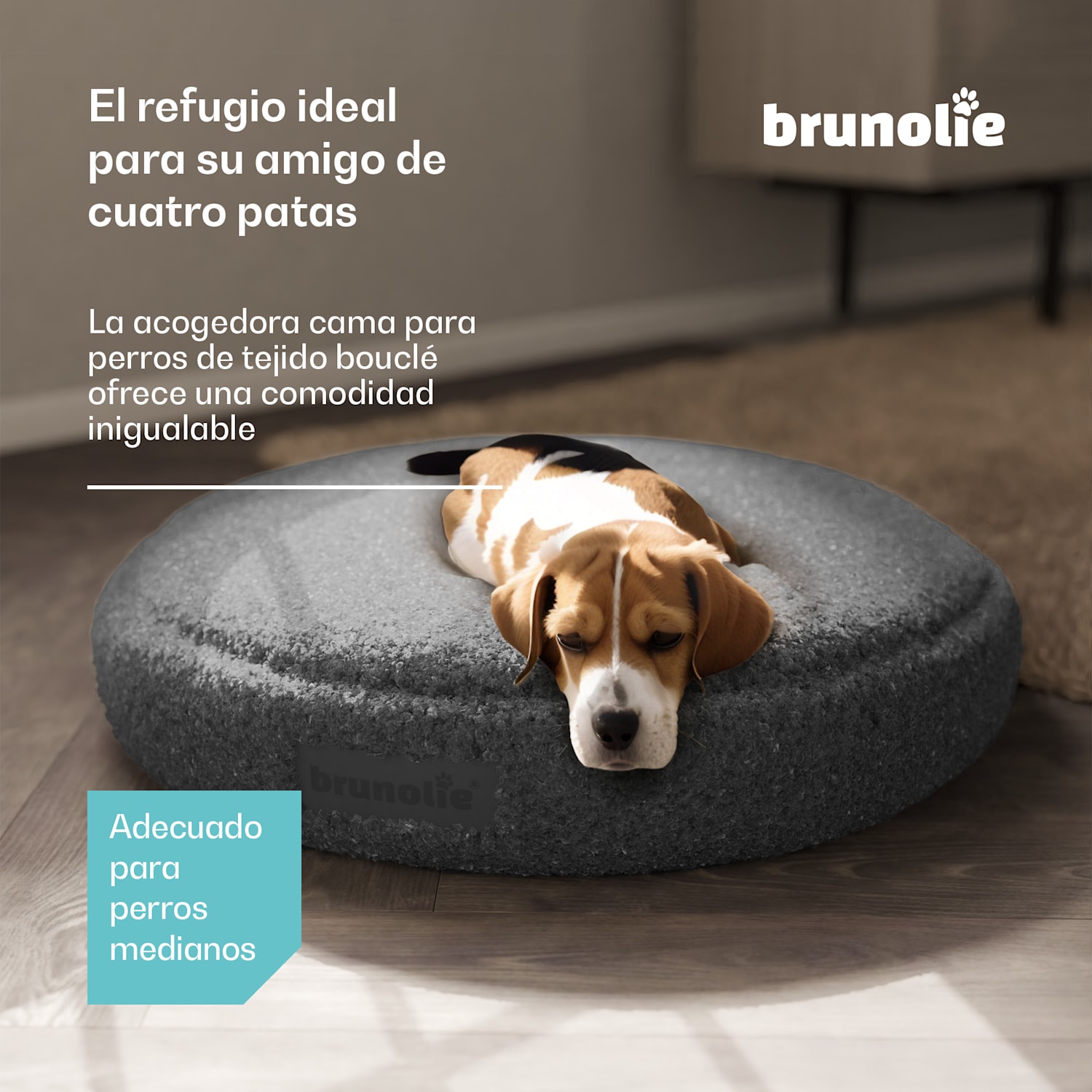 Cama para perros SnugNest Ø70 cm | para perros medianos | asa de transporte | antideslizante Ø 70 cm | Antracita