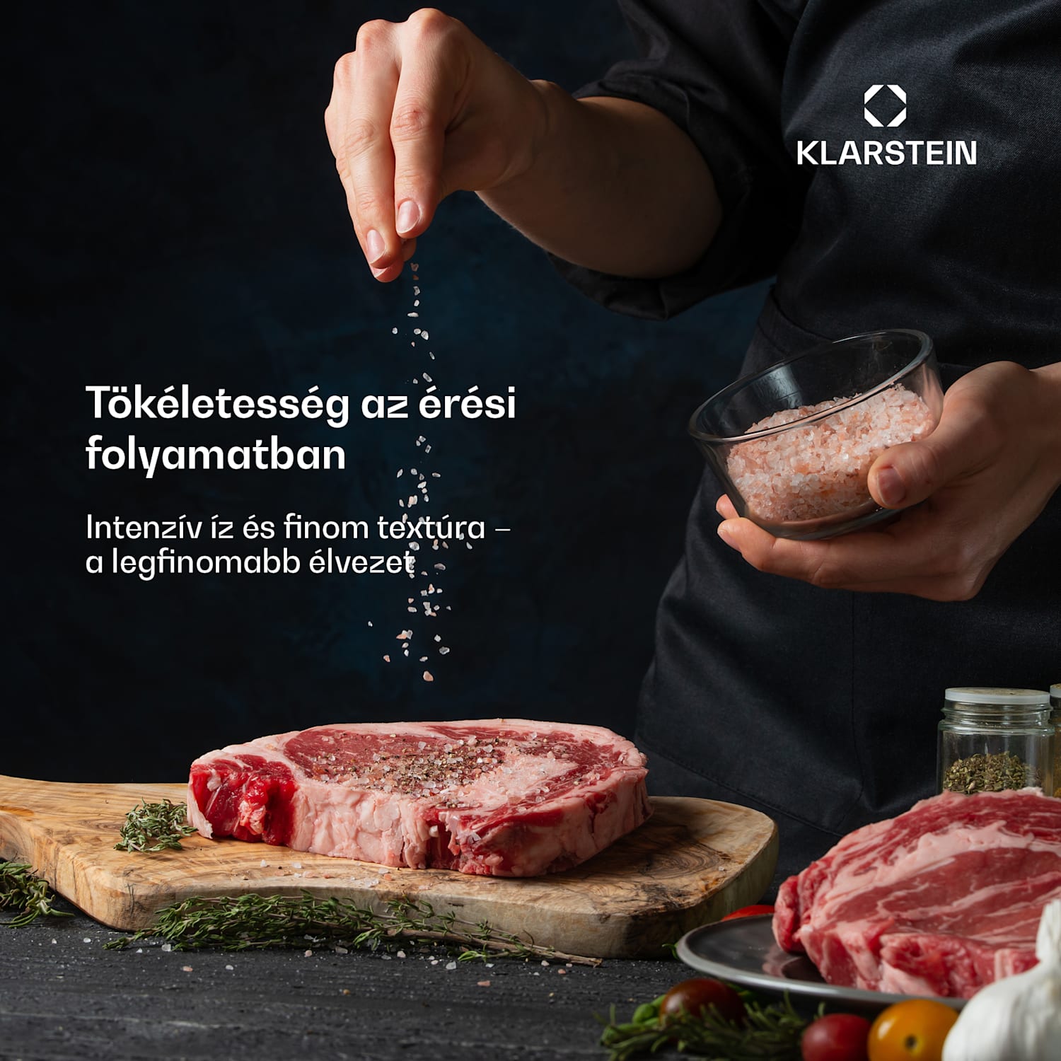 Steakhouse húsérlelő szekrény, 88 L, antibakteriális, LED, érintésvezérlés, páratartalom szabályozása 88 Ltr | Rozsdamentes acél