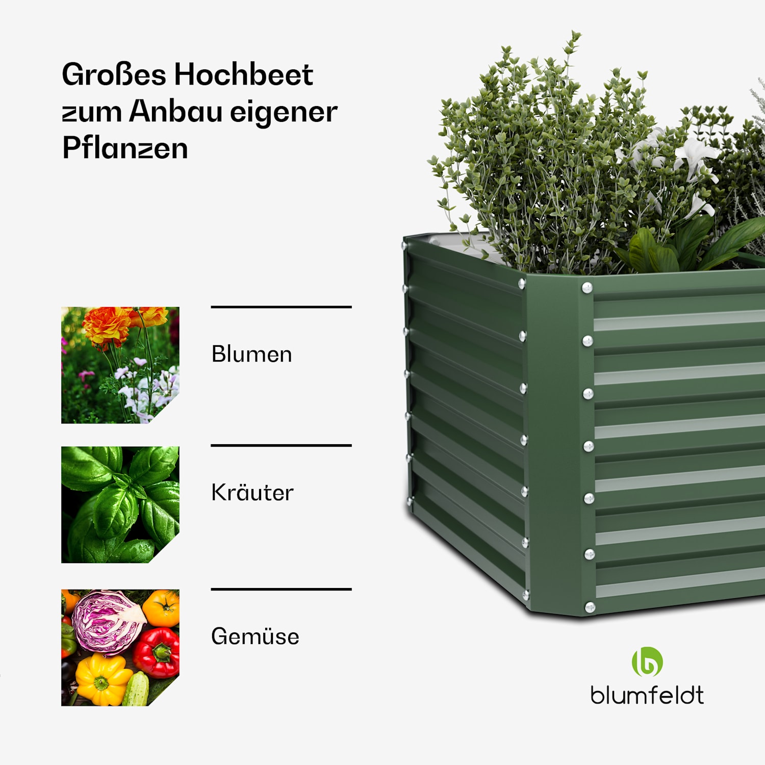 High Grow Straight Hochbeet | 600 L | Ergonomisch | Wetterfest | offene Bodenstruktur 100 x 100 x 60 cm | Grün