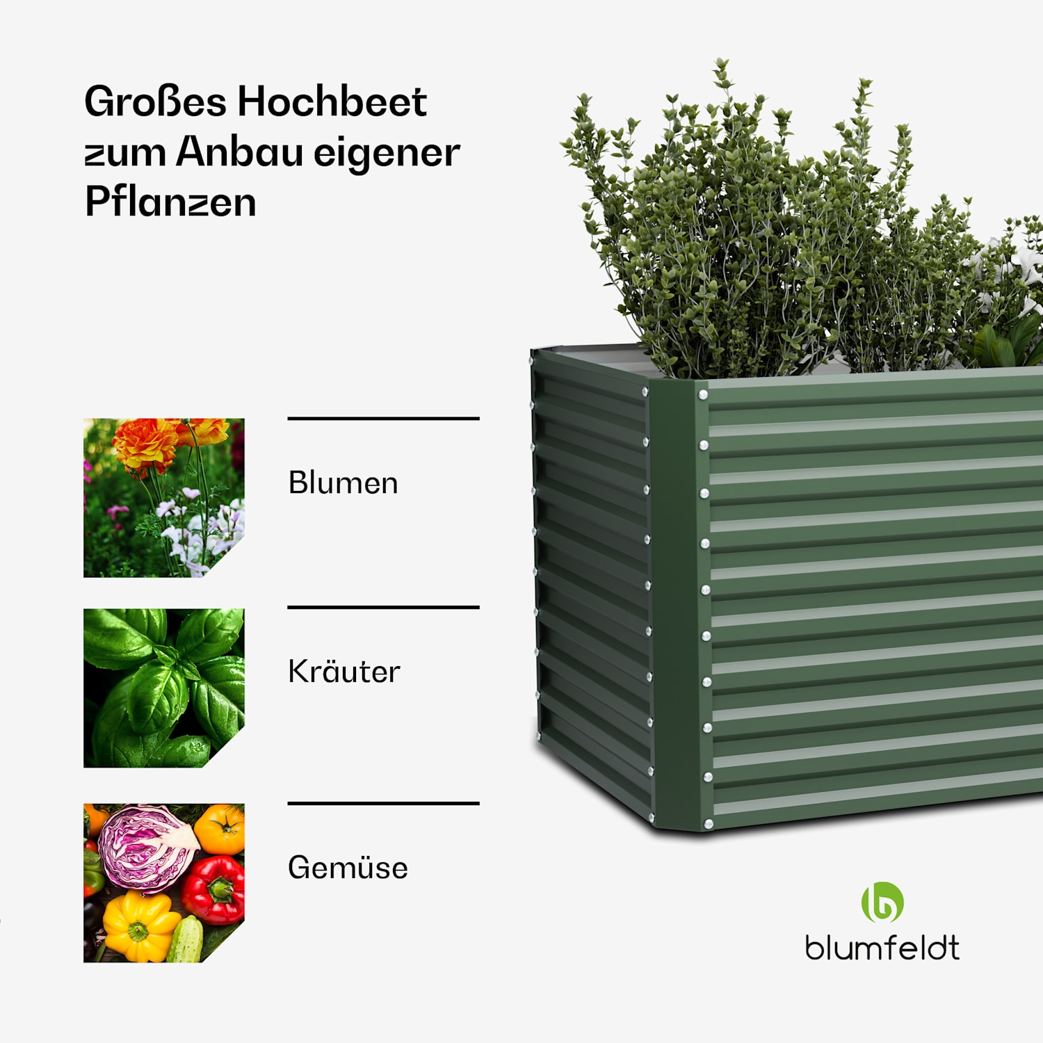 High Grow Straight Hochbeet | 1.800 L | Ergonomisch | Wetterfest | offene Bodenstruktur 200 x 100 x 90 cm | Grün