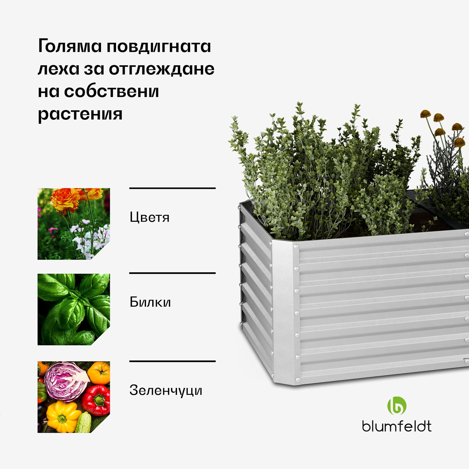 High Grow Straight повдигната леха, 1440 литра, Ергономична, Устойчива на атмосферните условия, Отворена основа 240 x 100 x 60 cm | Сребърен