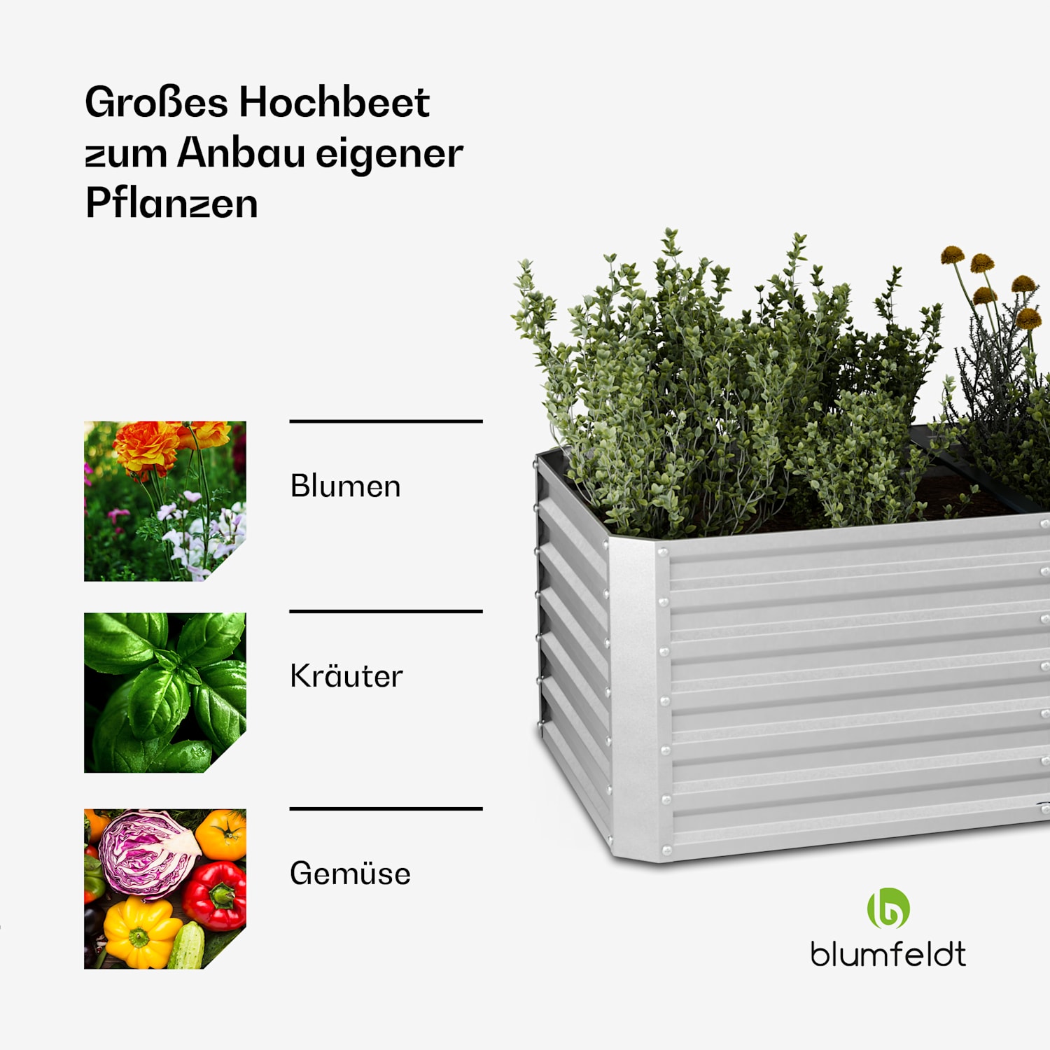 High Grow Straight Hochbeet | 1.440 L | Ergonomisch | Wetterfest | offene Bodenstruktur 240 x 100 x 60 cm | Silber