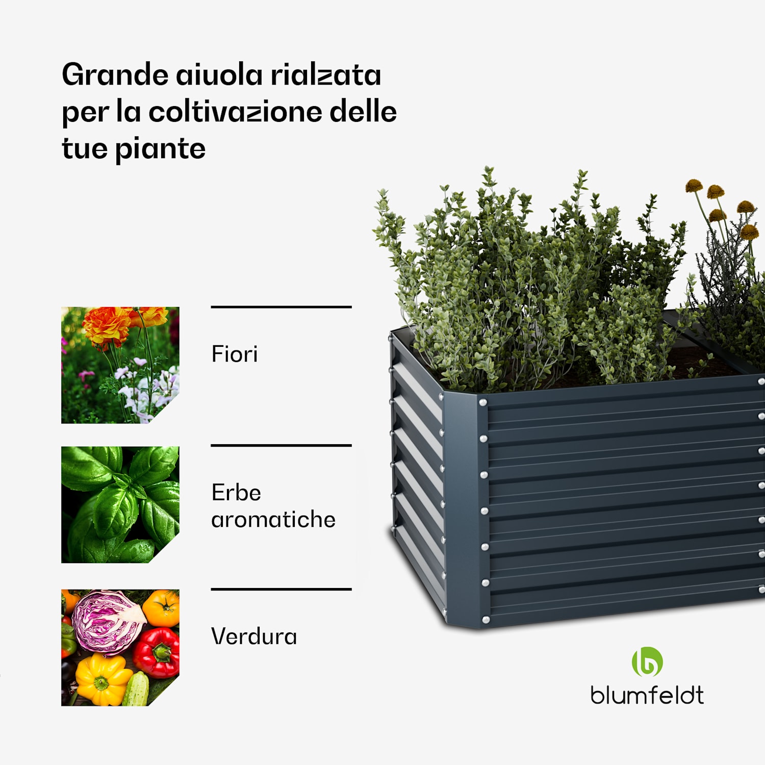 High Grow Straight - Aiuola rialzata | 1.440 L | Ergonomica | Resistente alle intemperie | Struttura a fondo aperto 240 x 100 x 60 cm | Antracite