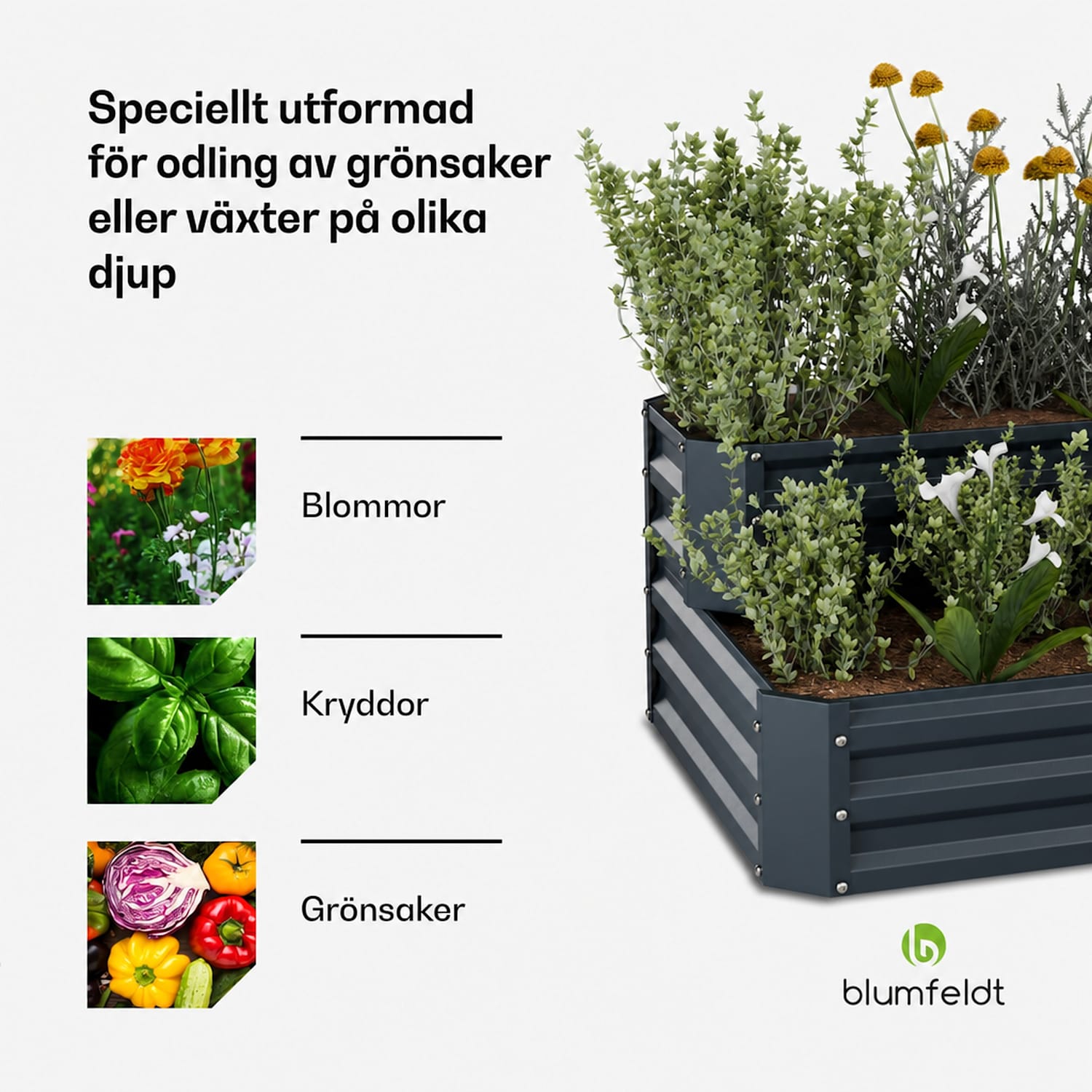 High Grow högbädd | 2 nivåer | väderbeständig | rostfri | robust | 405 l 120 x 90 x 50 cm | Antracit