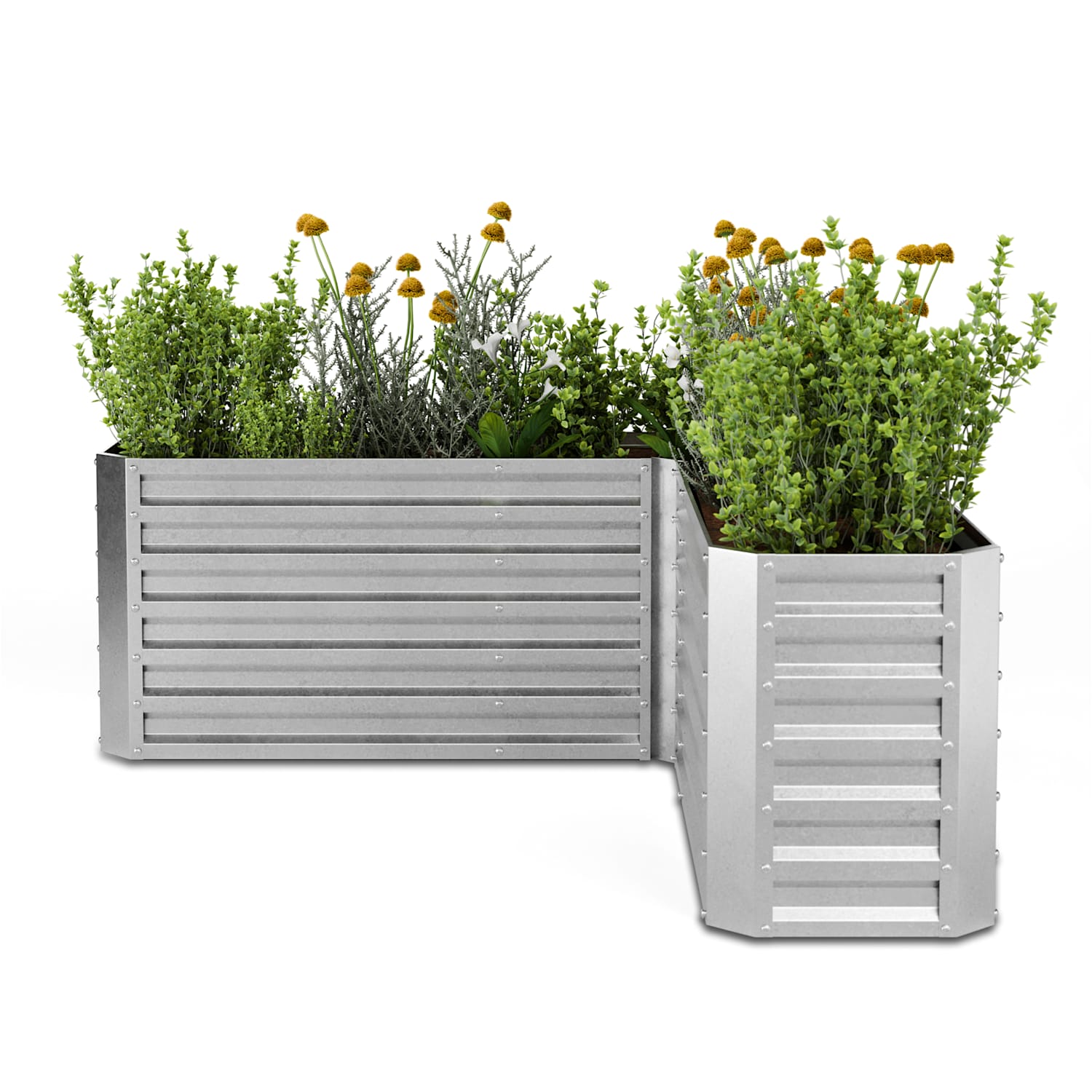 High Grow Huerto elevado | forma L | resistente a la intemperie | inoxidable | robusto | 742 L 160 x 160 x 60 cm | Plata