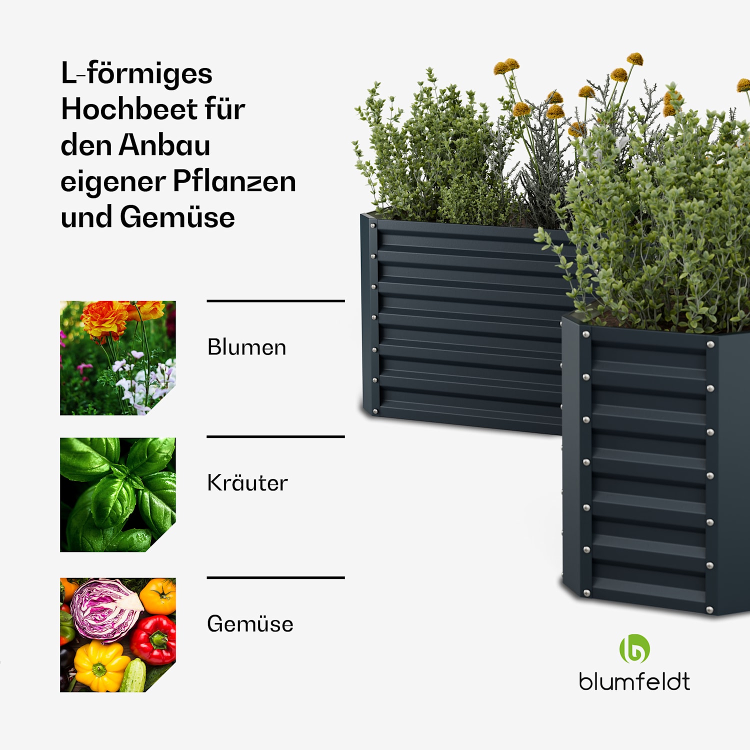 High Grow Hochbeet | L-Form | wetterfest | rostfrei | robust | 742 L 160 x 160 x 60 cm | Anthrazit