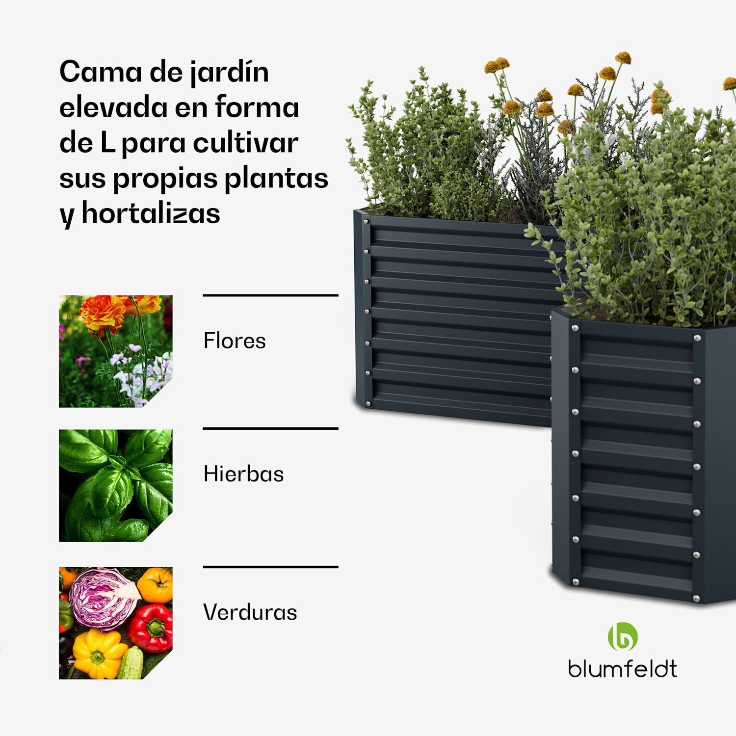 Cama elevada High Grow | forma de L | resistente a la intemperie | inoxidable | robusta | 742 L 160 x 160 x 60 cm | Antracita