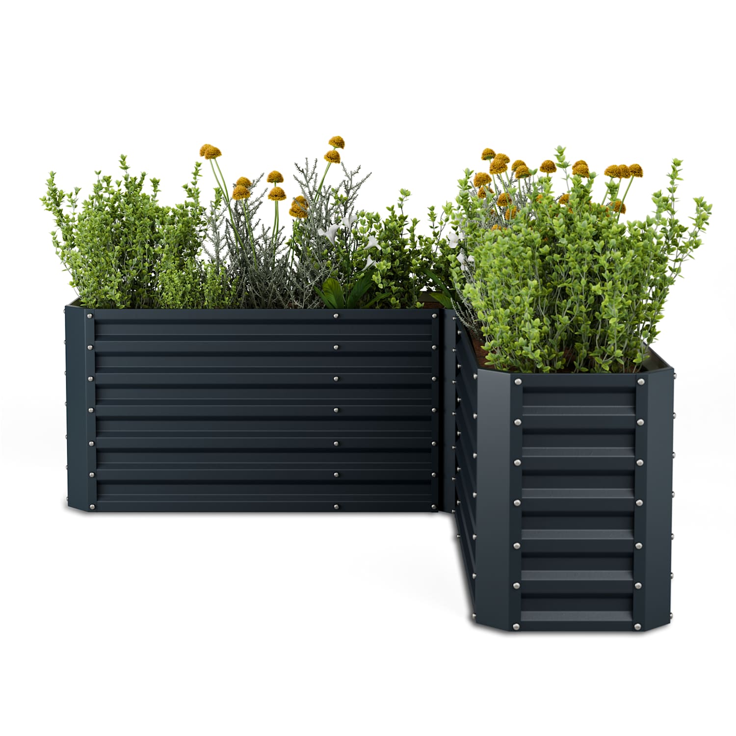 High Grow Huerto elevado | forma L | resistente a la intemperie | inoxidable | robusto | 742 L 160 x 160 x 60 cm | Antracita