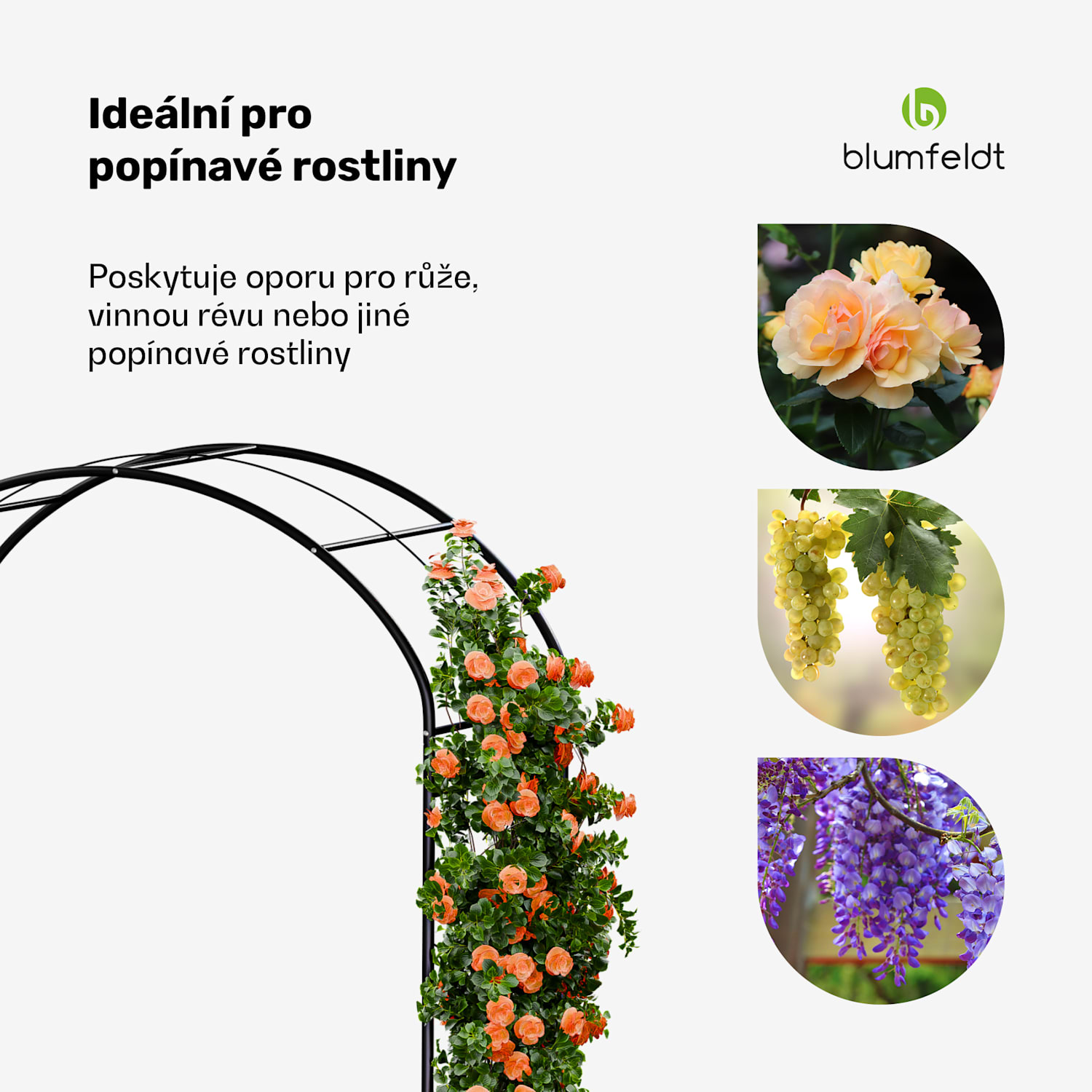 FloraBelle Arch oblouk, ozdobné vzory listů, odolný proti povětrnostním vlivům, podpora popínavých rostlin oblouk