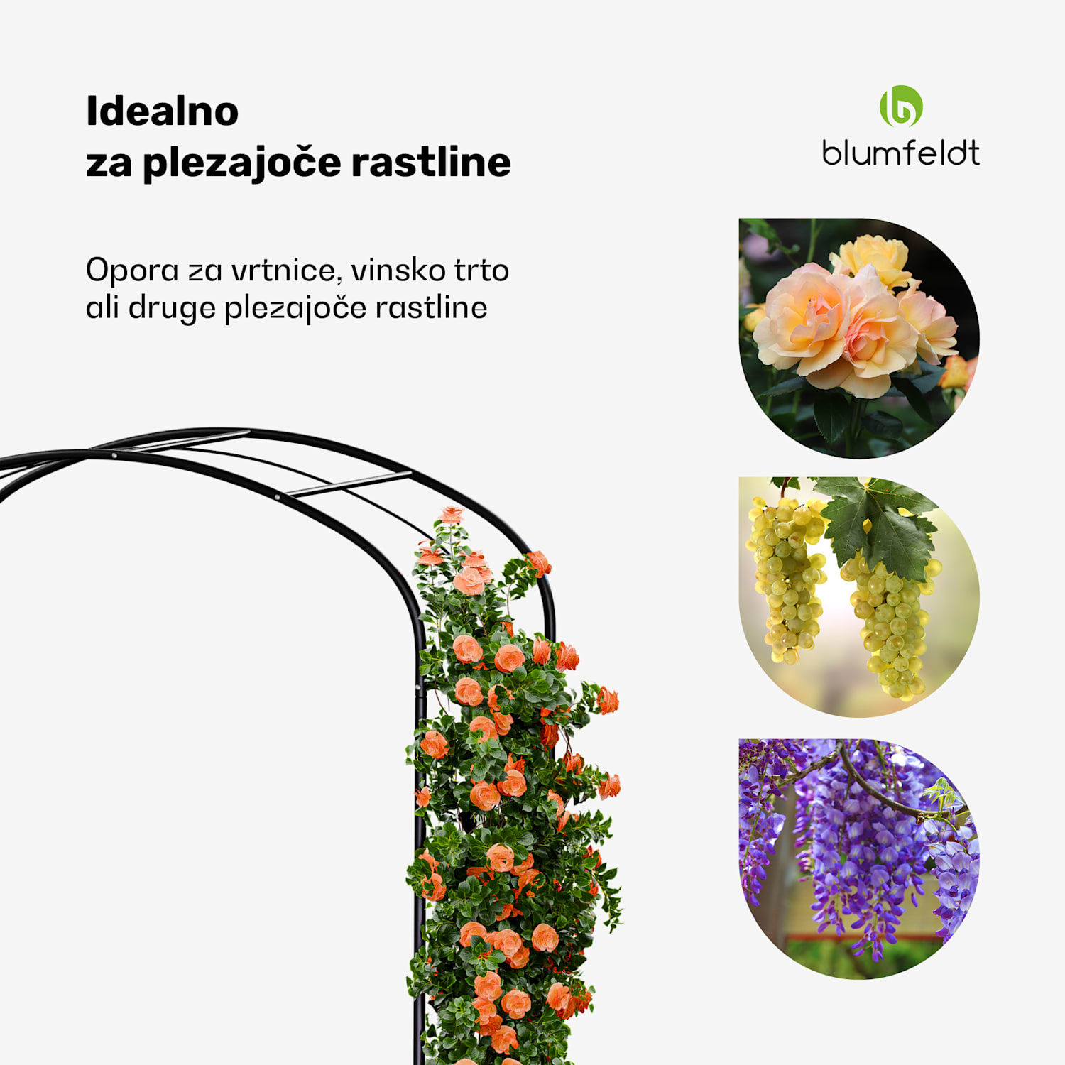 FloraBelle Curve obok za rože, okrasni vzorci listov, odporen na vremenske vplive, pripomoček za plezanje krivulja