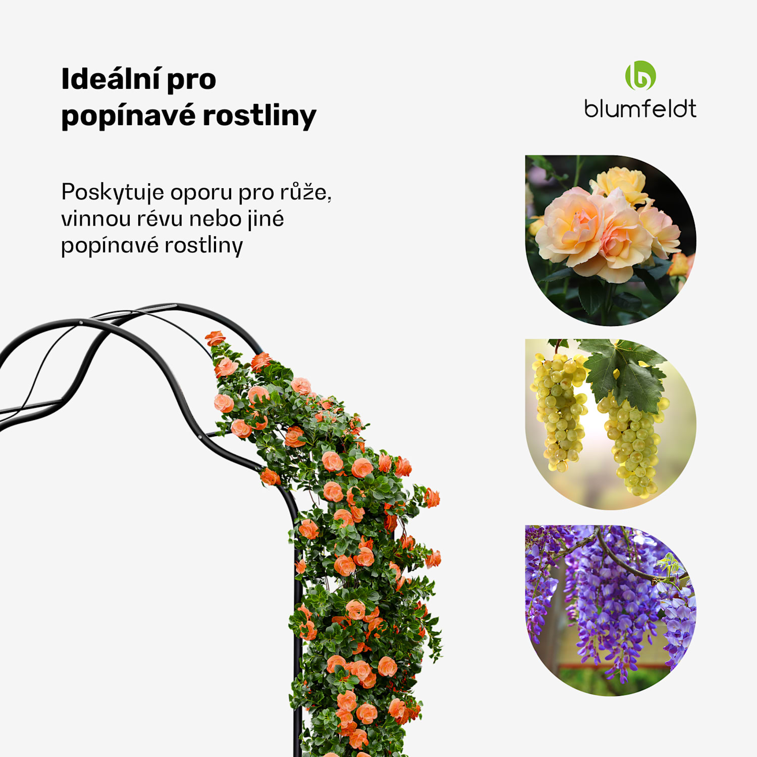 FloraBelle Cupola oblouk, ozdobné vzory listů, odolný vůči povětrnostním vlivům, podpora popínavých rostlin kopule