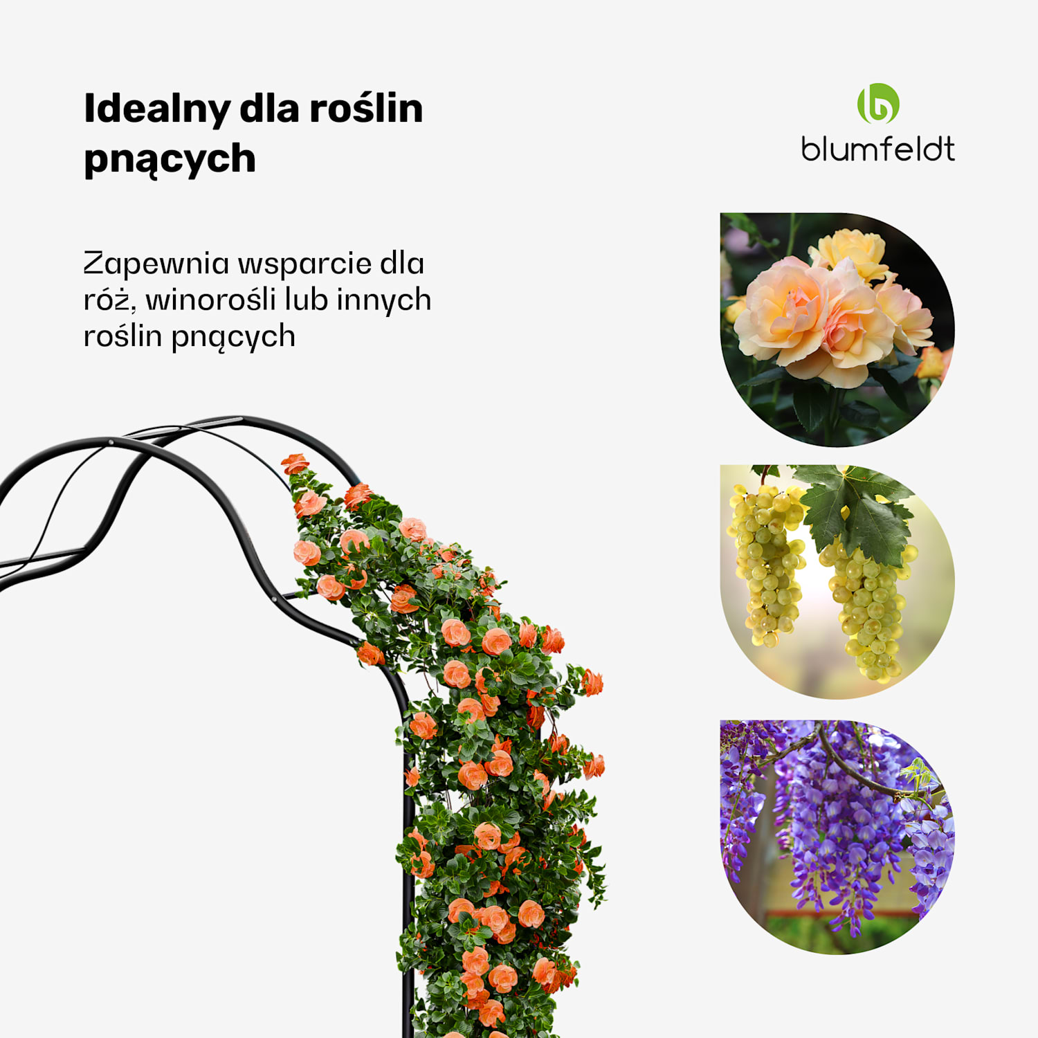 FloraBelle Curve pergola łukowa do róż, dekoracyjny wzór liści, odporna na warunki atmosferyczne, podpora do pnączy kopuła