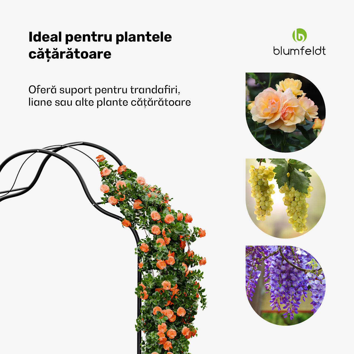 FloraBelle Cupola arcadă roz, modele decorative cu frunze, rezistentă la intemperii, suport pentru plante cățărătoare cupolă