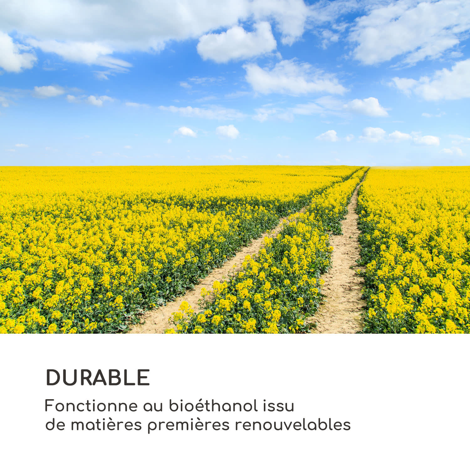 Cheminée à l'éthanol Fiamme Circulo brûleur en acier inoxydable 1,2 litre 4-5 h de combustion Noir