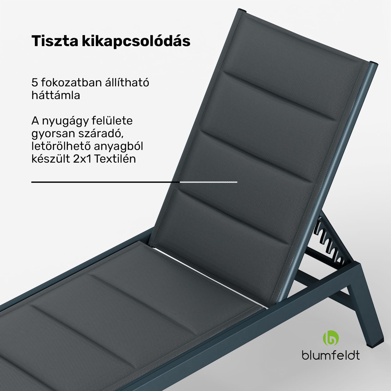 Renazzo Lounge Napozóágy, 120 kg teherbírás, 5 fokozat, vízlepergető Antracit