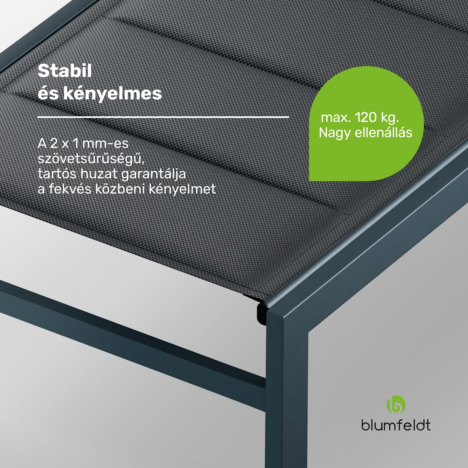 Renazzo Lounge Napozóágy, 120 kg teherbírás, 5 fokozat, vízlepergető Antracit