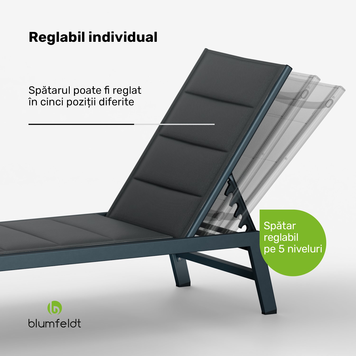 Renazzo Lounge șezlong, Capacitate de încărcare 120 kg, 5 trepte de reglare, Rezistent la apă Antracit