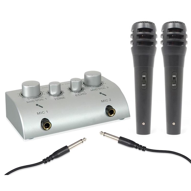 Mini 2-kanaals karaoke mengpaneel 2 microfoons set