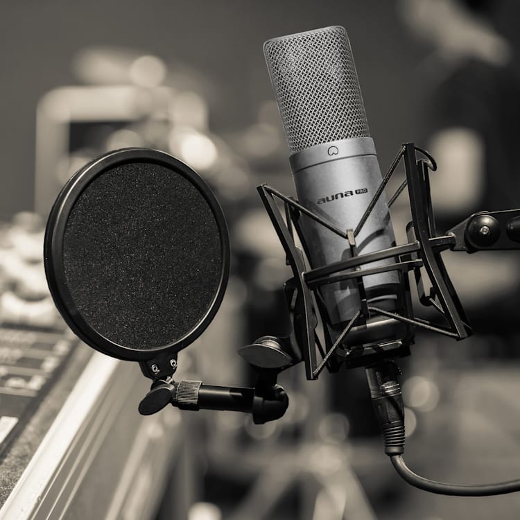 MIC-900S microfono a condensatore da studio USB argento Argento metallizzato | Argento
