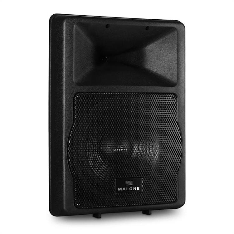 PW-EV-12A 2-weg Concertauidspreker 1100W ABS 30 cm (12")