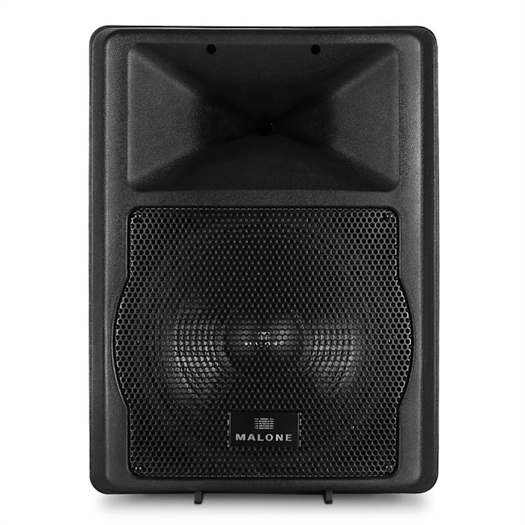 PW-EV-12A 2-weg Concertauidspreker 1100W ABS 30 cm (12")