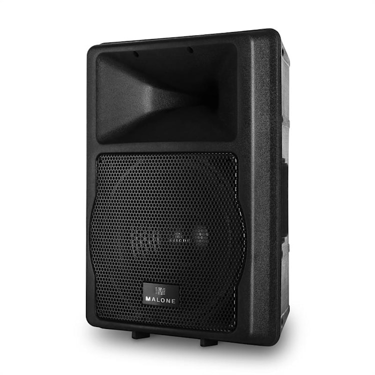 PW-EV-12A 2-weg Concertauidspreker 1100W ABS 30 cm (12")