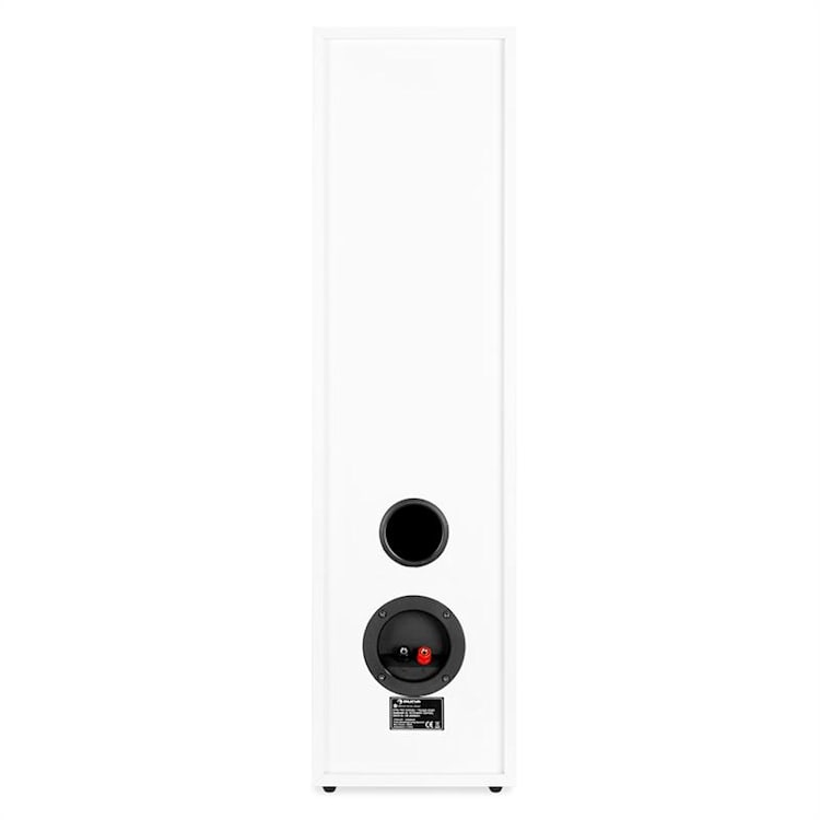 Linie-300-WH Enceinte pied 80W RMS passive - blanc Blanc