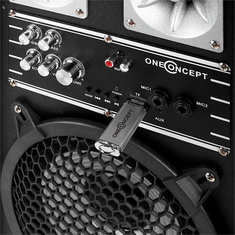 BSX-8A PA luidsprekers USB microSD AUX MIC 400W zwart 20 cm (8")