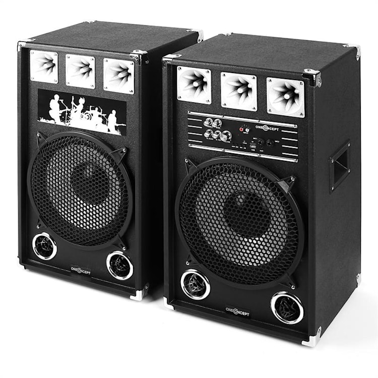 BSX-12A PA luidsprekers USB microSD AUX MIC 800W zwart 30 cm (12")