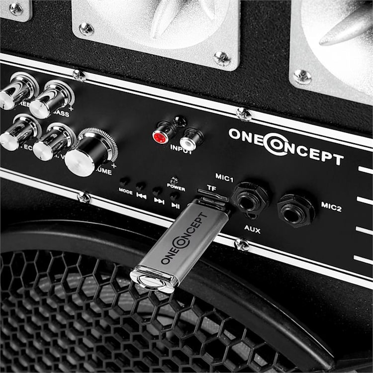 BSX-12A PA luidsprekers USB microSD AUX MIC 800W zwart 30 cm (12")