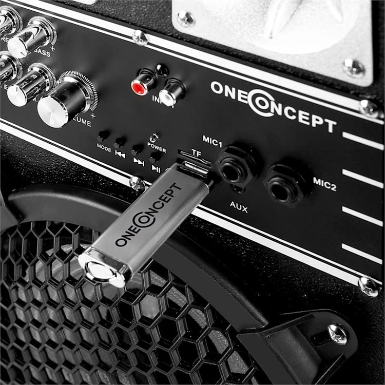 BSX-28A enceintes PA USB microSD AUX MIC 60W noir 2x 20 cm (8")
