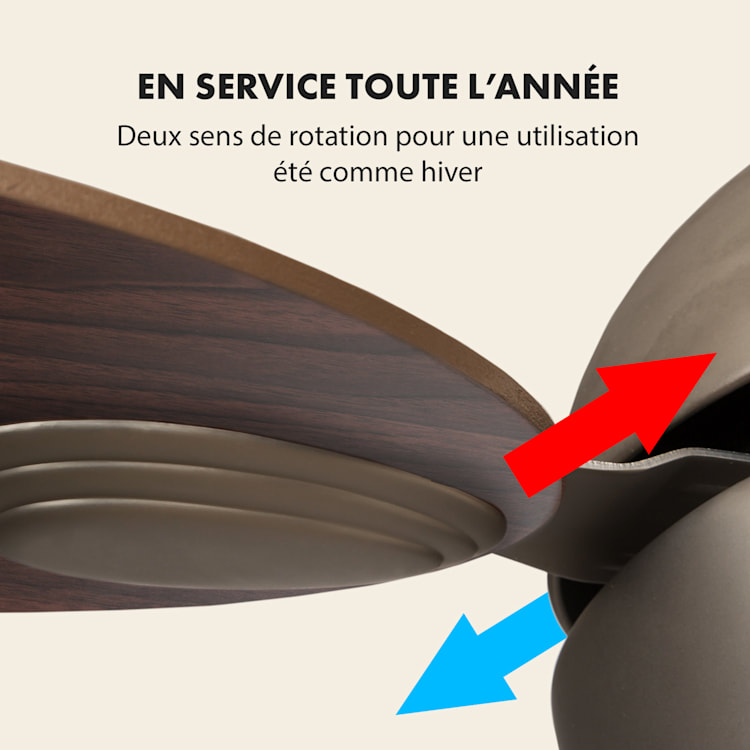 Valderama Ventilateur de plafond 2-en-1 42" 60 W plafonnier aspect palissandre Palissandre