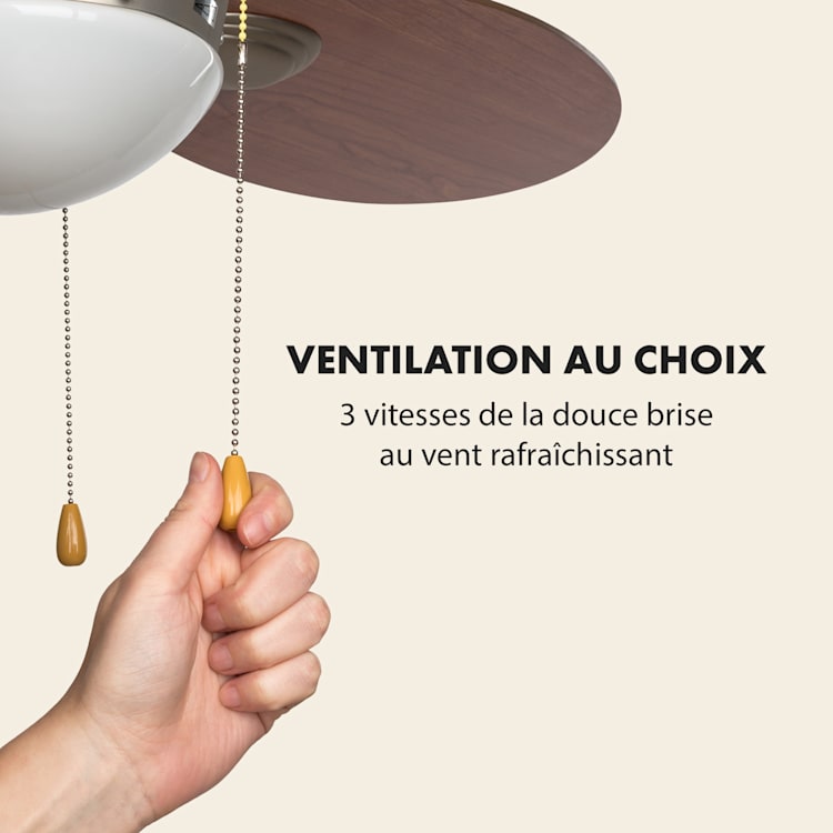 Valderama Ventilateur de plafond 2-en-1 42" 60 W plafonnier aspect palissandre Palissandre