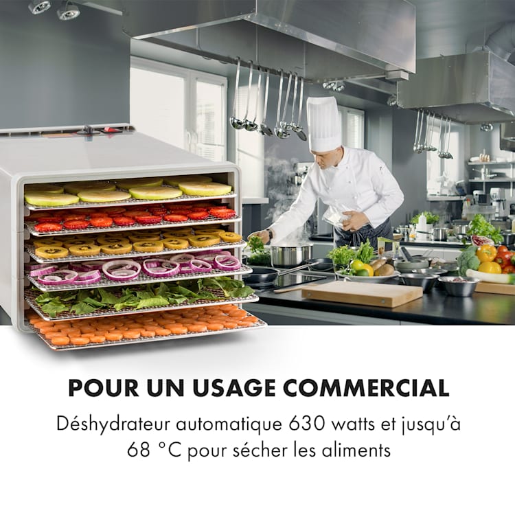 Déshydrateur alimentaire Fruit Jerky Steel 6 6 étagères 630 W Surface : 0,65 m² 6 étages