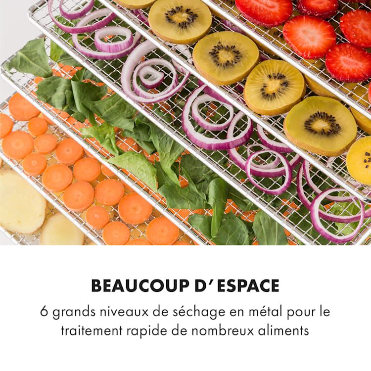 Déshydrateur alimentaire Fruit Jerky Steel 6 6 étagères 630 W Surface : 0,65 m² 6 étages