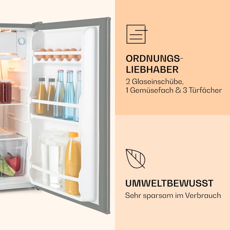 Alleinversorger Kühlschrank 91 Liter 2 Ebenen Thermostat Eisfach Silber