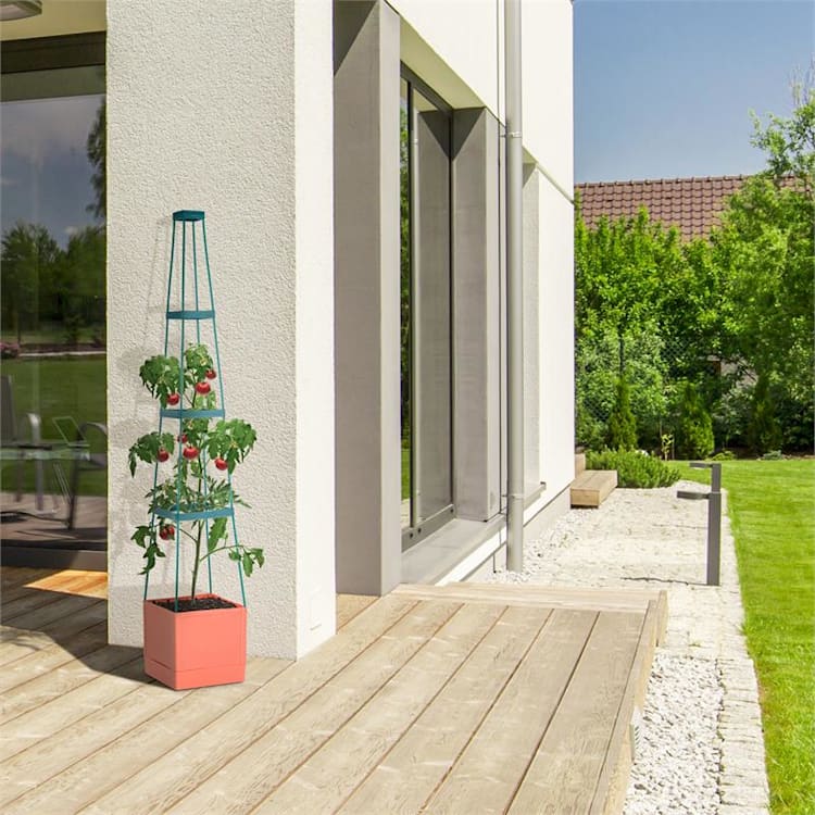 Tomato Tower cvjetnjak za paradajz set dva komada 25x150x25cm mrežica za pričvršćivanje PP
