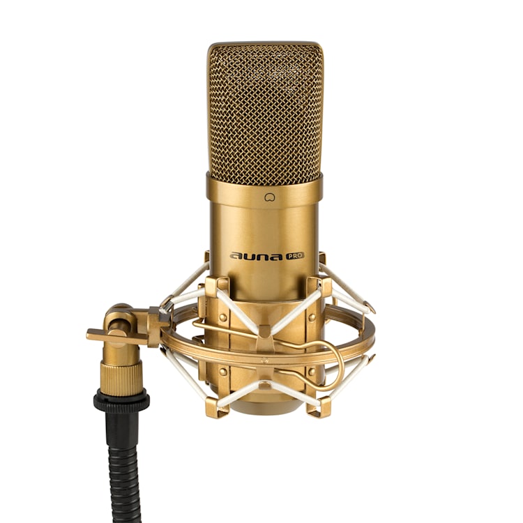 MIC-900G Condensatore-Microfono USB Rene Studio oro Oro | Oro