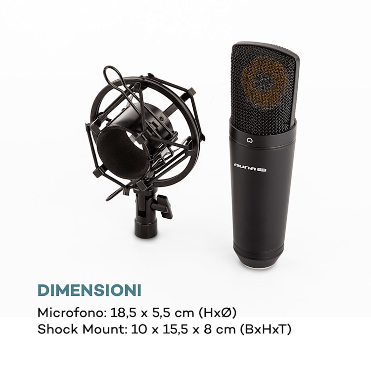 MIC-920B Microfono a Condensatore da Studio USB Nero Nero