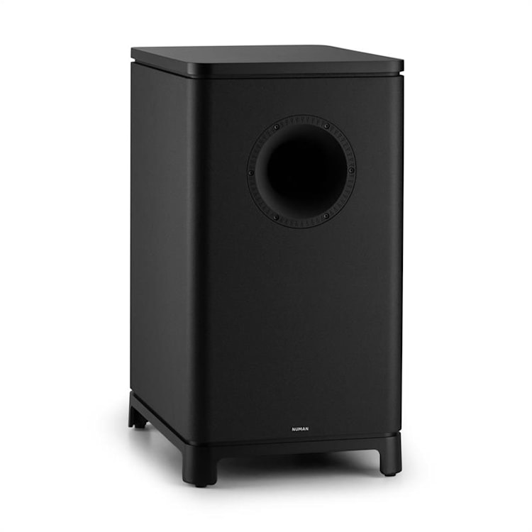 UniSUB Subwoofer mono actif 25 cm (10") - noir Noir
