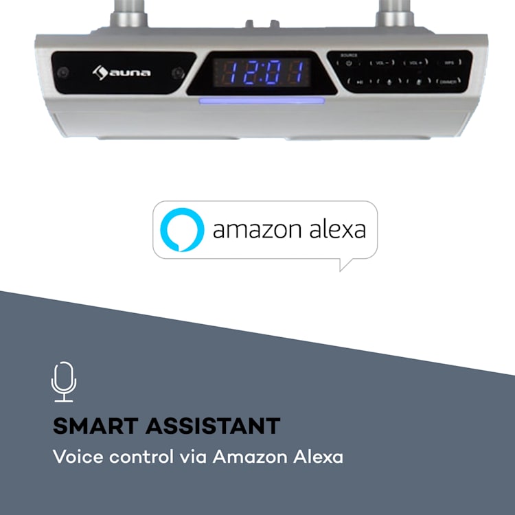 Intelligence, kuchynské rádio, WLAN, hlasové ovládanie Alexa, hands-free systém, strieborné Strieborná