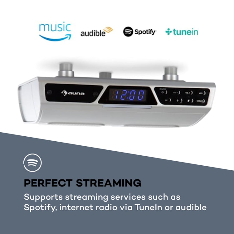 Intelligence, kuchynské rádio, WLAN, hlasové ovládanie Alexa, hands-free systém, strieborné Strieborná