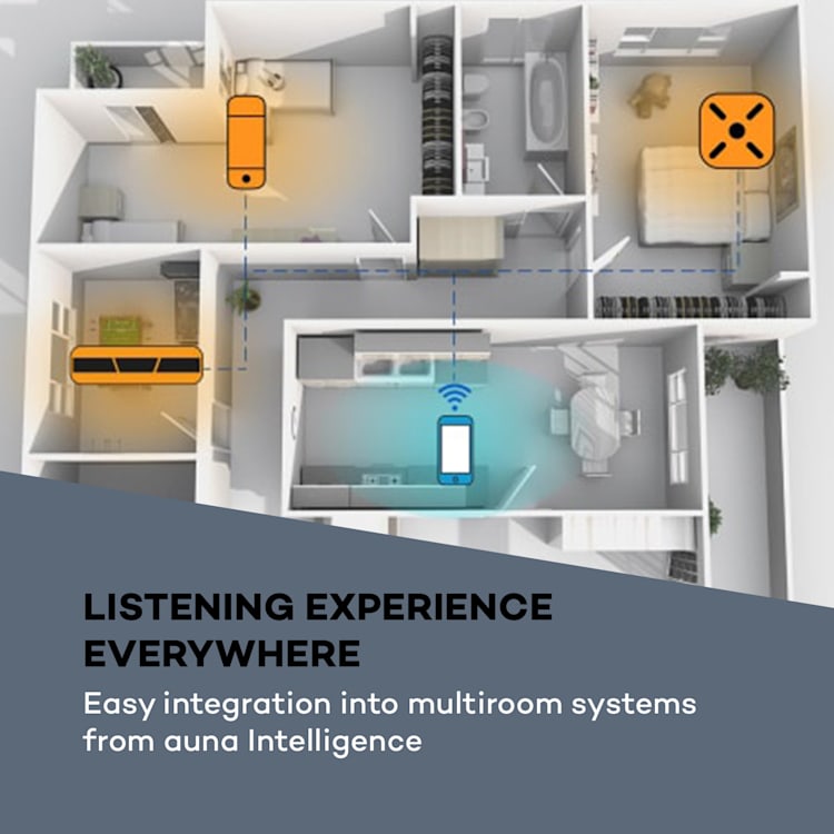 Intelligence, kuchynské rádio, WLAN, hlasové ovládanie Alexa, hands-free systém, strieborné Strieborná