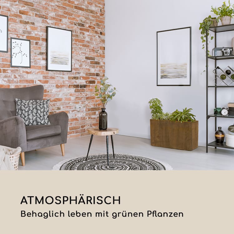Timberflor Pflanztopf 60 x 50 x 30 cm Fiberglas In-/Outdoor braun 60 x 50 x 30 cm