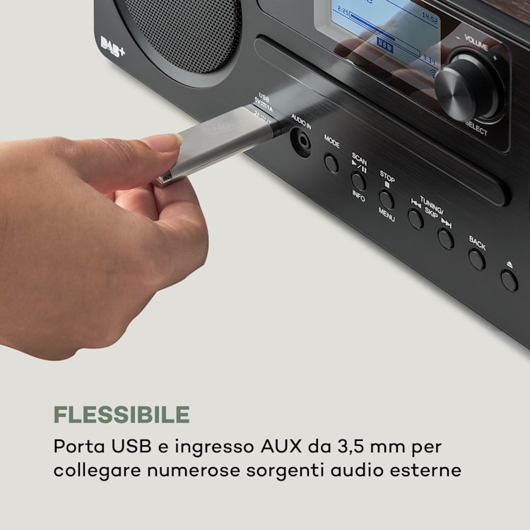Worldwide CD Radio Internet Spotify Connect App Control Bluetooth Noce Legno scuro