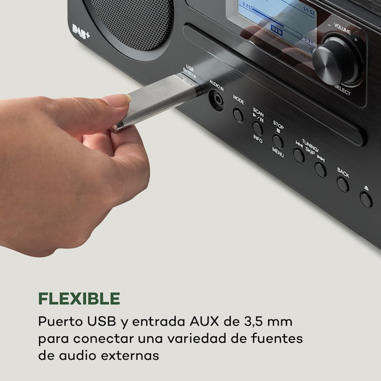 Worldwide CD Radio de Internet Spotify Connect App Control Bluetooth Negro Negro