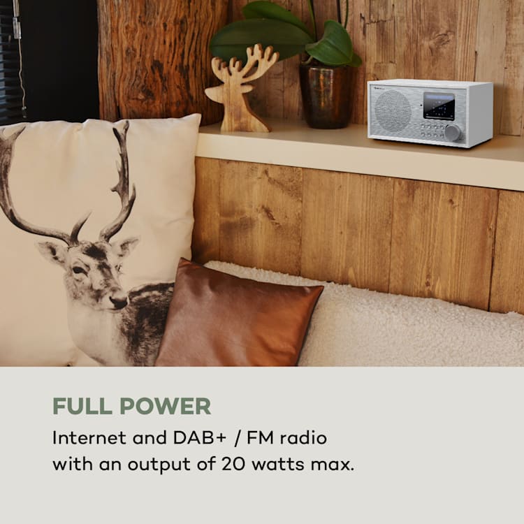 Silver Star Mini, radio internetowe DAB+/FM, WiFi, BT, DAB+/FM, białe Biały / Srebrny Metal