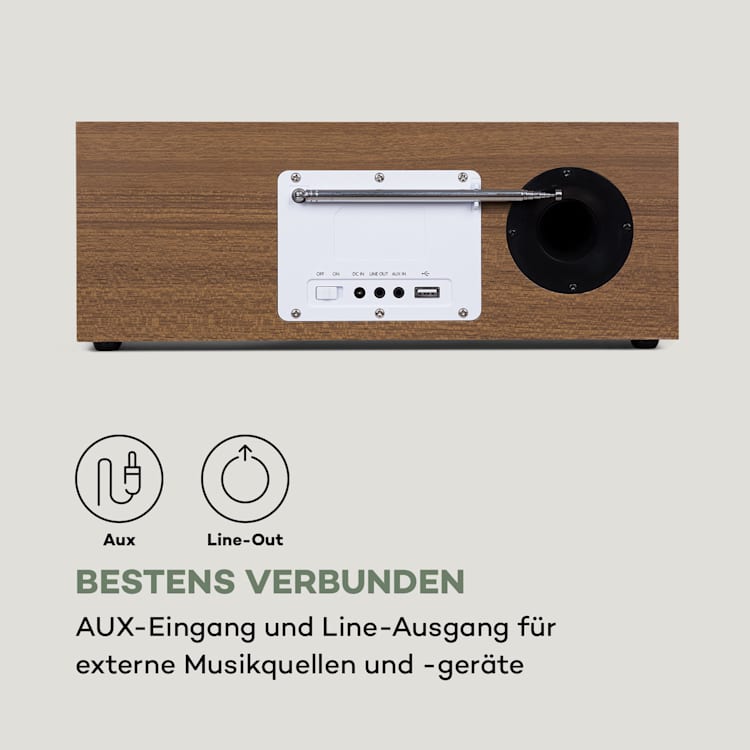 Silver Star Stereo Internet DAB+/UKW Radio, WiFi, BT, DAB+/UKW, Eiche Eiche