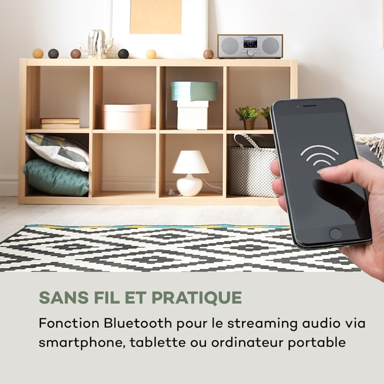 Silver Star radio Internet stéréo DAB+/FM, WiFi, BT, DAB+/FM, chêne Chêne