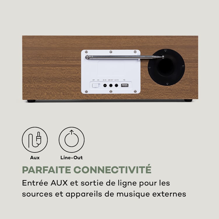 Silver Star radio Internet stéréo DAB+/FM, WiFi, BT, DAB+/FM, chêne Chêne